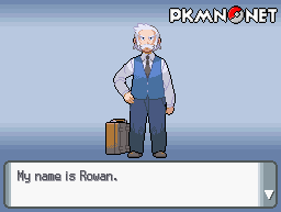 DS / DSi - Pokémon Platinum - Dawn - The Spriters Resource