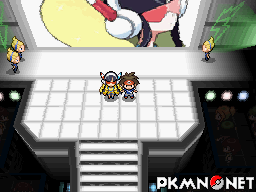 Pokémon Black 2 & White 2 - All Gym Leader Battles (Challenge Mode) 