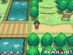 Pokémon Black 2 & Pokémon White 2 - The Season Cycle