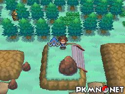 Pokémon Black 2 & White 2 : All Special Pokémon Locations & Catch (HQ) 