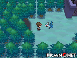 Pokémon Black 2 & White 2 : All Special Pokémon Locations & Catch (HQ) 